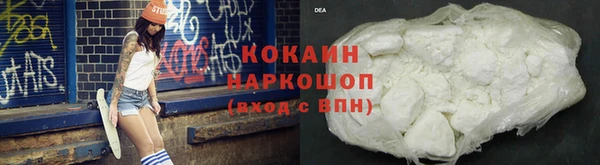 гидропоника Дмитриев