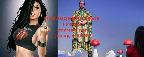 таблы Алексин