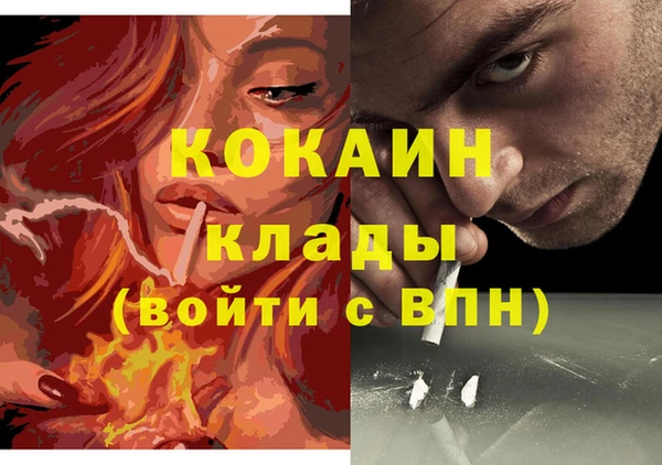 дживик Дмитров
