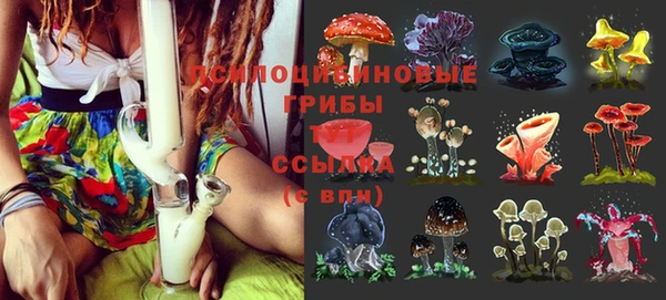 эйфоретик Абинск