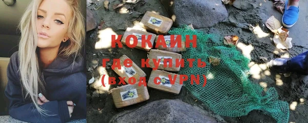 винт Алзамай