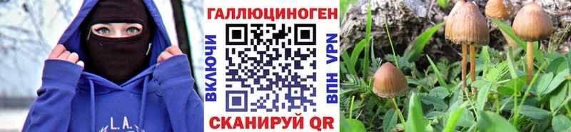 Галлюциногенные грибы GOLDEN TEACHER  Беломорск 